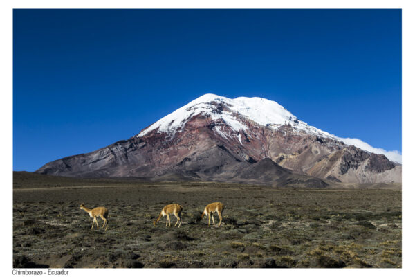 Andes_40
