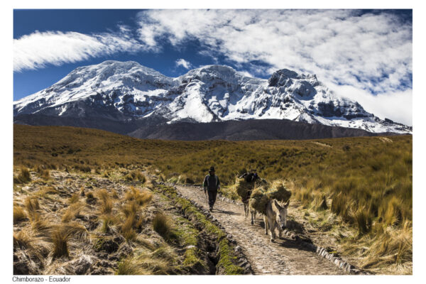 Andes_42