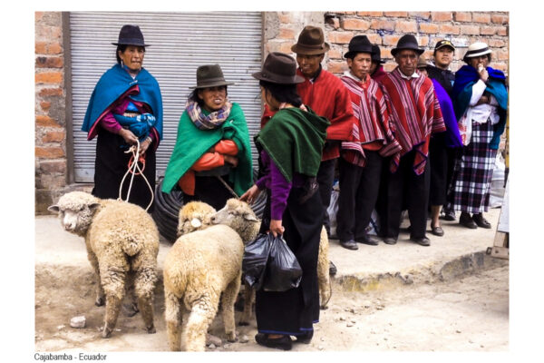 Andes_44