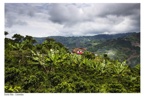 Andes_61